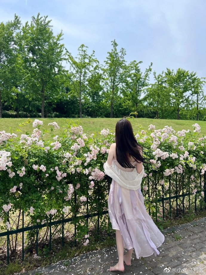 无间道 封面